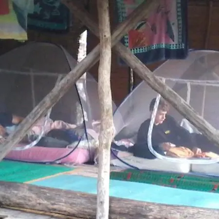 Orang Utan Treking Sumatra & Lovely Jungle Lodge Only Book If You Are Treking With Us Bukit Lawang Exterior photo