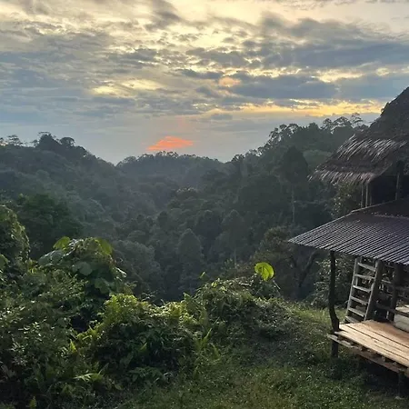 Orang Utan Treking Sumatra & Lovely Jungle Lodge Only Book If You Are Treking With Us Bukit Lawang Exterior photo