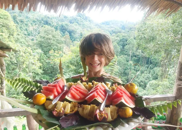 Orangutantreksumatra & Lovely Jungle Lodge Only Book If You Are Treking With Us
