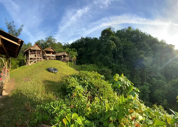 Orangutantreksumatra & Lovely Jungle Lodge Only Book If You Are Treking With Us
