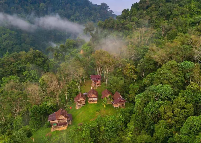 Orangutantreksumatra & Lovely Jungle Lodge Only Book If You Are Treking With Us