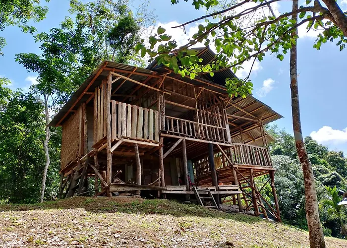 Orangutantreksumatra & Lovely Jungle Lodge Only Book If You Are Treking With Us
