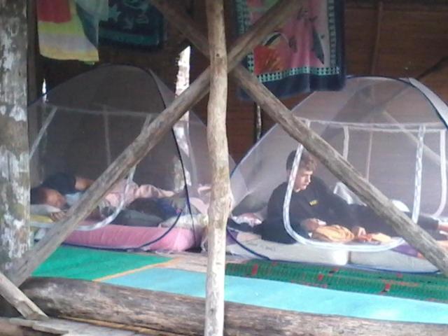 Orang Utan Treking Sumatra & Lovely Jungle Only Book If Are Treking With Us Lodge Bukit Lawang