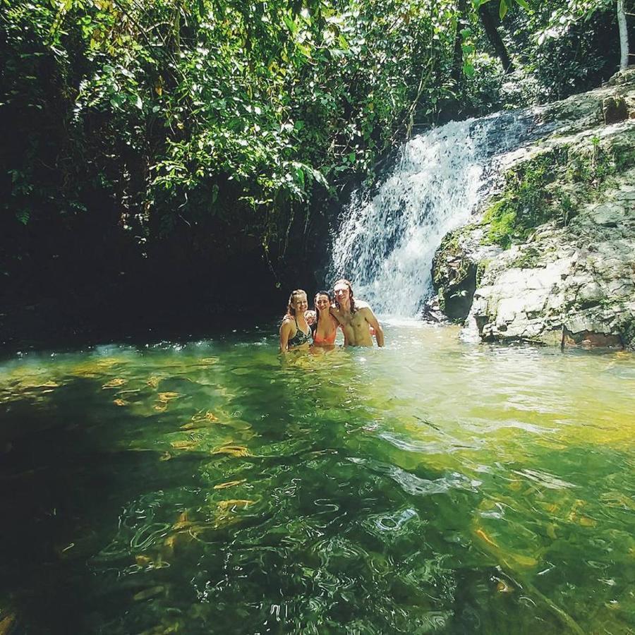 Lodge Orang Utan Treking Sumatra & Lovely Jungle Only Book If Are Treking With Us *