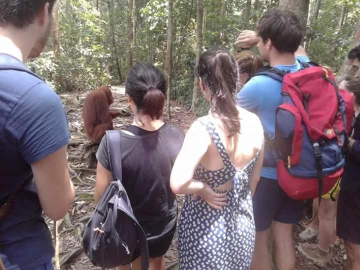 Lodge Orang Utan Treking Sumatra & Lovely Jungle Only Book If Are Treking With Us *