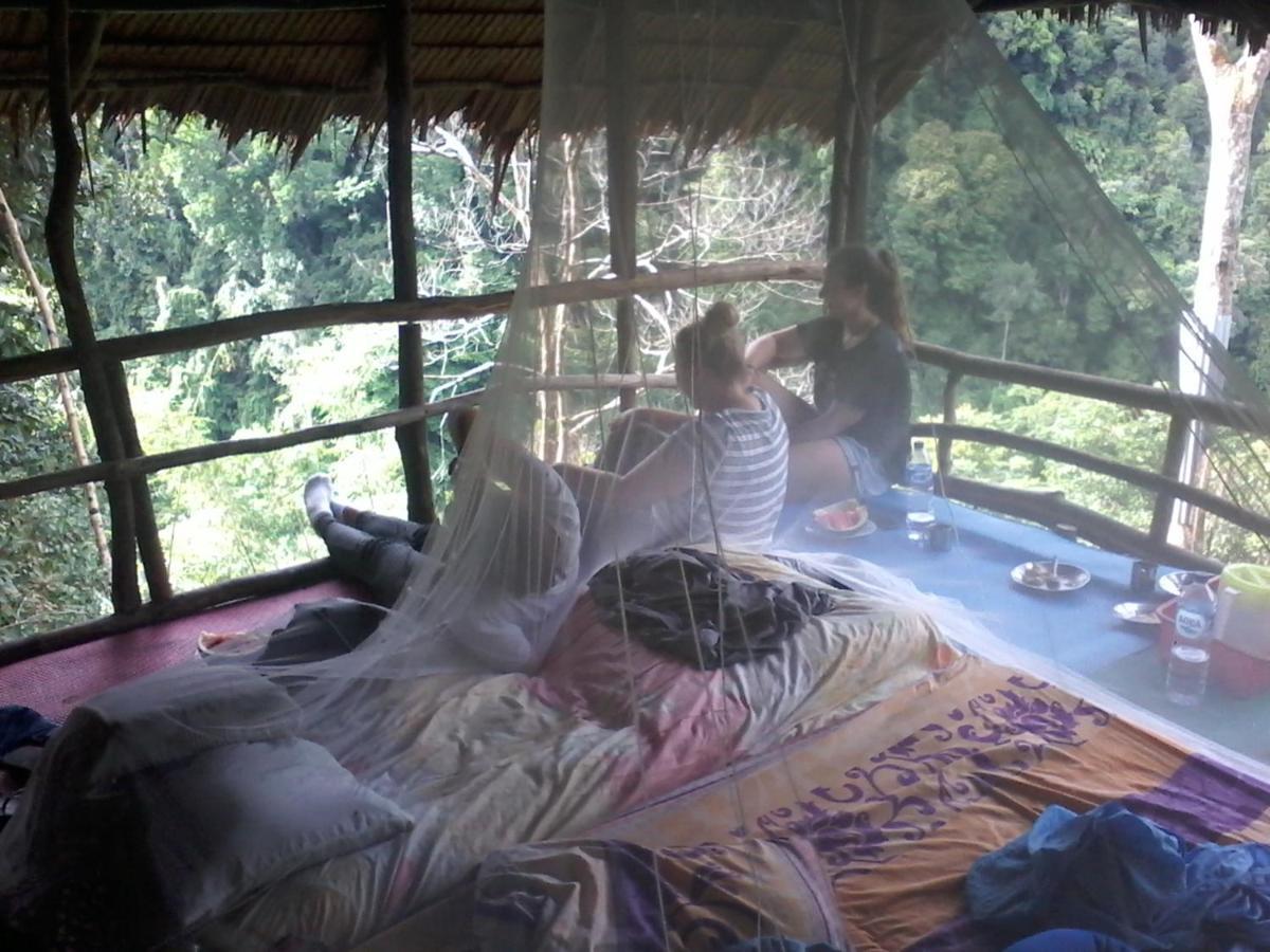 Lodge Orang Utan Treking Sumatra & Lovely Jungle Only Book If Are Treking With Us *