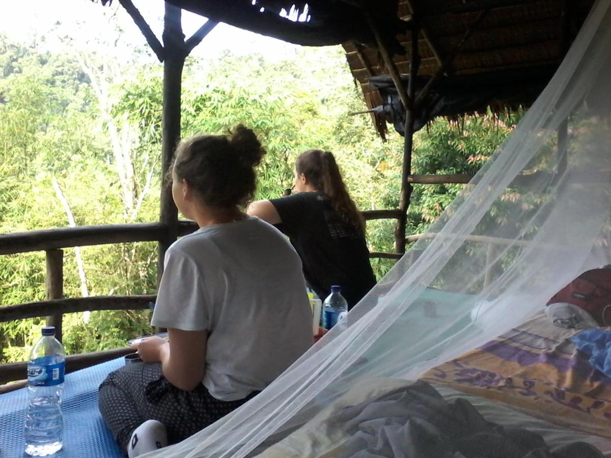 Orang Utan Treking Sumatra & Lovely Jungle Only Book If Are Treking With Us Lodge *