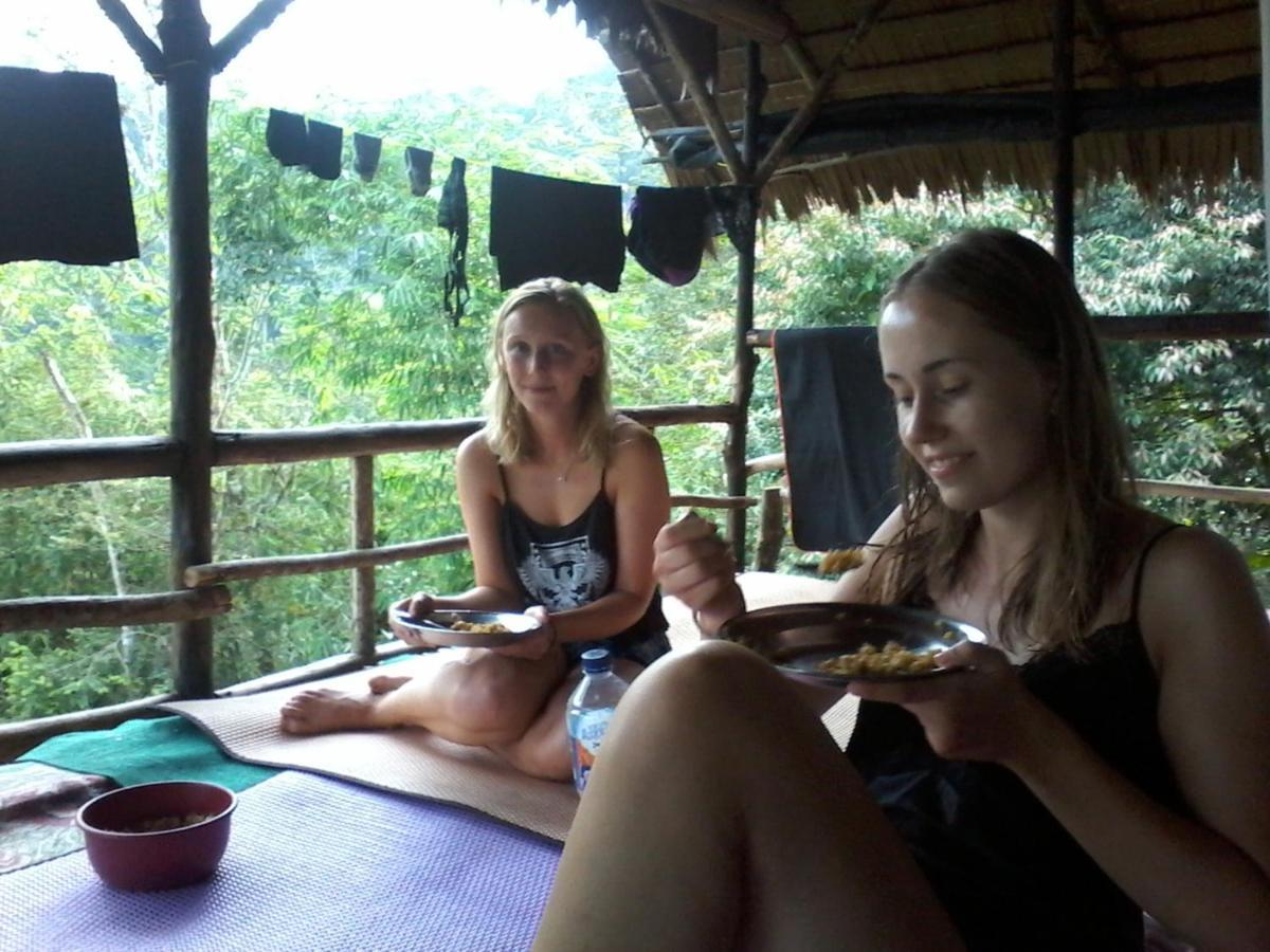Orang Utan Treking Sumatra & Lovely Jungle Only Book If Are Treking With Us Lodge Bukit Lawang