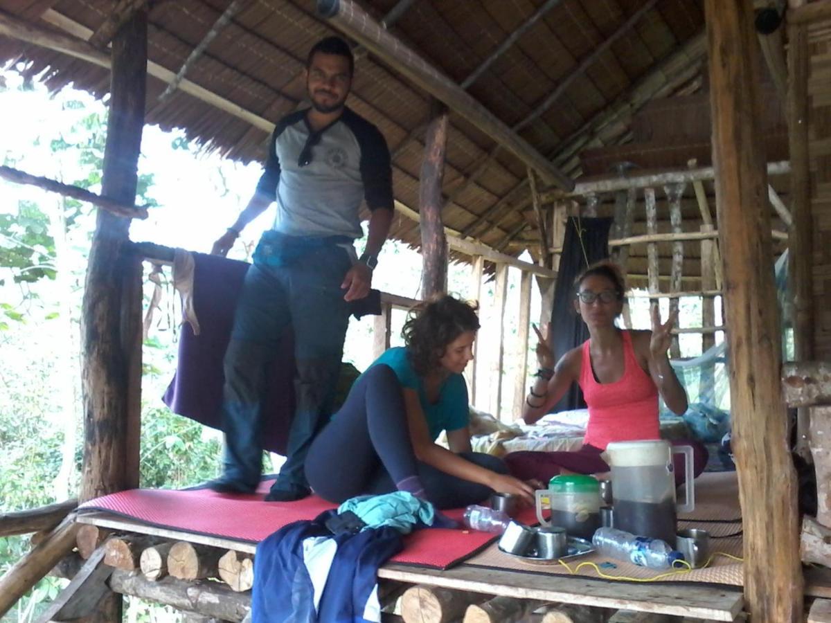 Lodge Orang Utan Treking Sumatra & Lovely Jungle Only Book If Are Treking With Us *