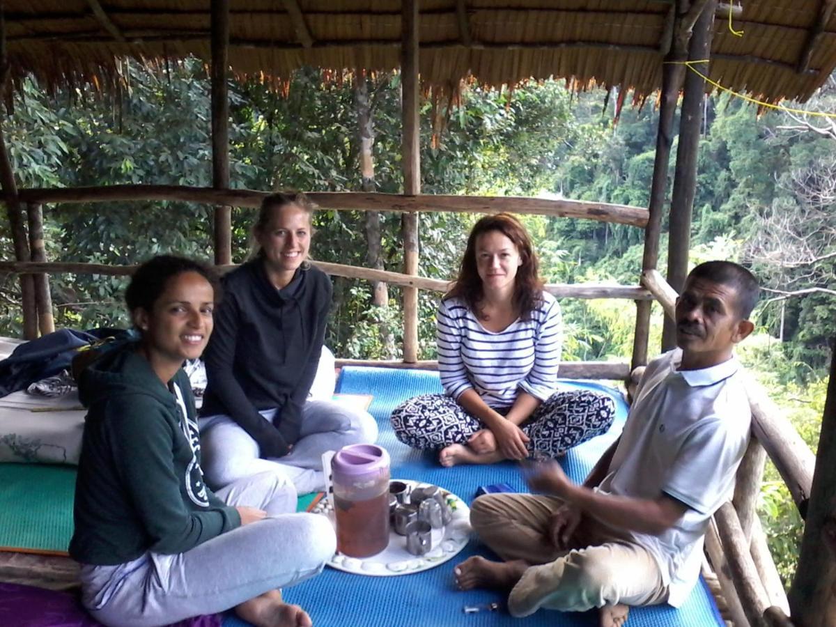 Orang Utan Treking Sumatra & Lovely Jungle Only Book If Are Treking With Us Bukit Lawang
