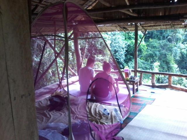 Orang Utan Treking Sumatra & Lovely Jungle Only Book If Are Treking With Us Bukit Lawang