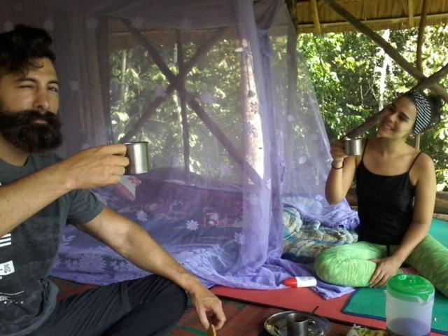 Orang Utan Treking Sumatra & Lovely Jungle Only Book If Are Treking With Us * Bukit Lawang