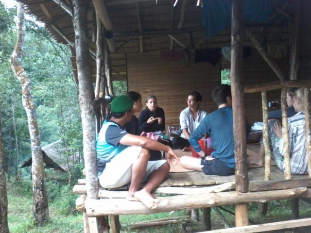 Orang Utan Treking Sumatra & Lovely Jungle Only Book If Are Treking With Us Lodge Bukit Lawang
