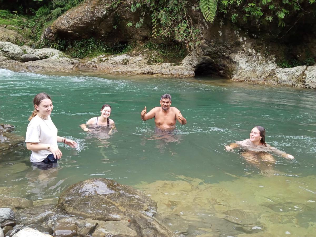 Orang Utan Treking Sumatra & Lovely Jungle Only Book If Are Treking With Us * Bukit Lawang