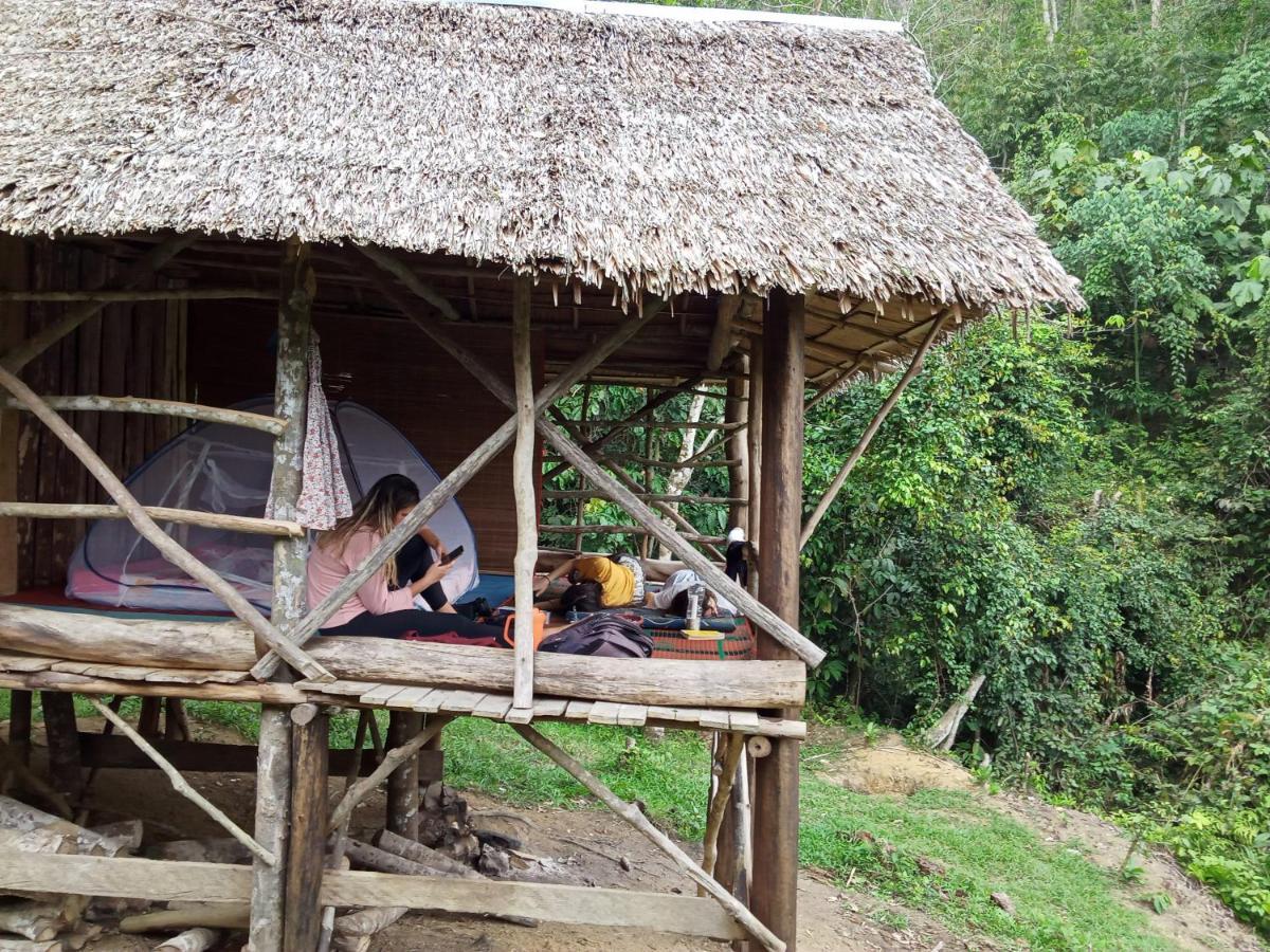 Orang Utan Treking Sumatra & Lovely Jungle Only Book If Are Treking With Us Lodge Bukit Lawang