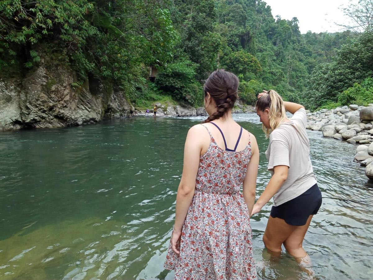 Orang Utan Treking Sumatra & Lovely Jungle Only Book If Are Treking With Us Bukit Lawang