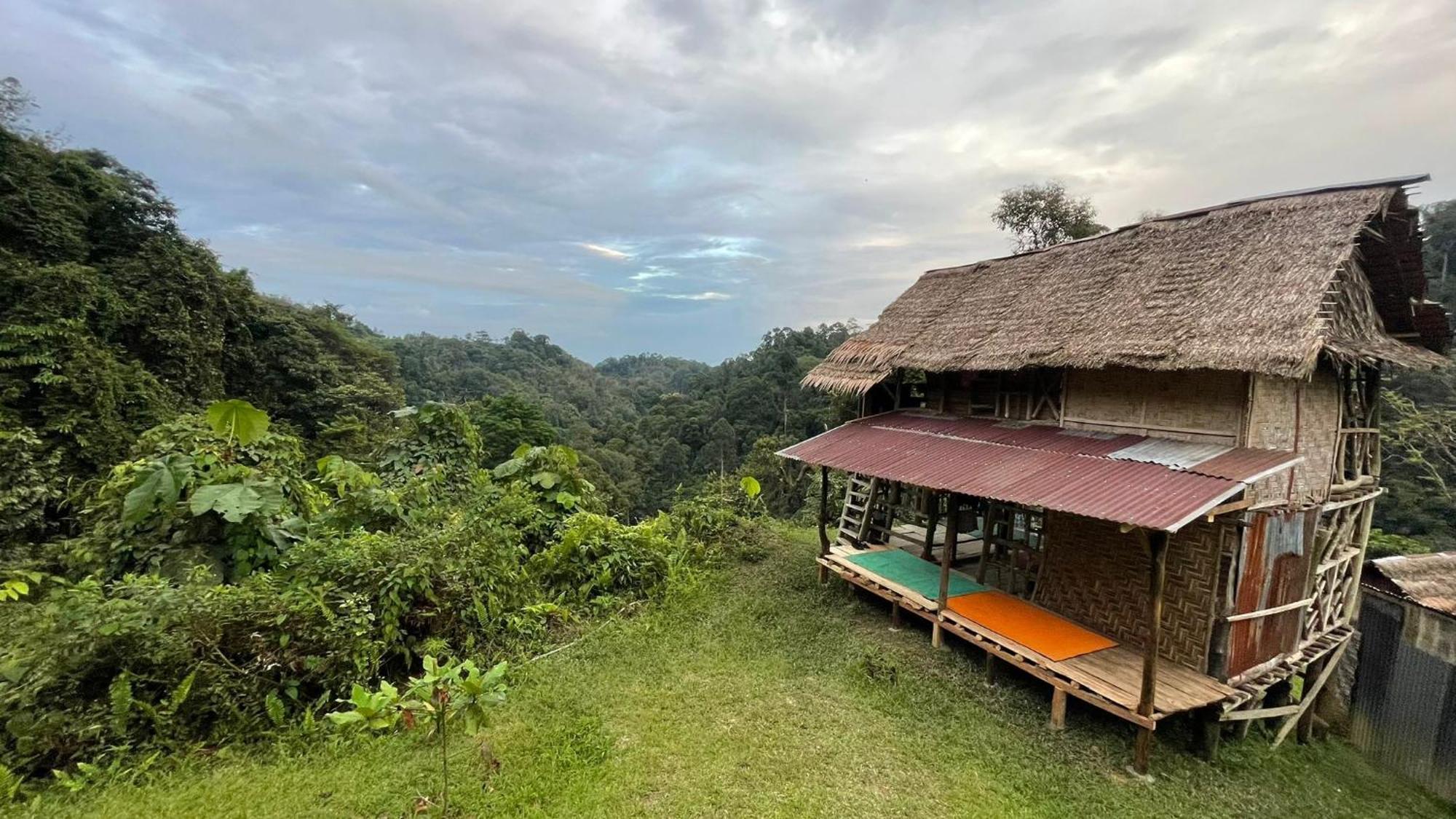 Orang Utan Treking Sumatra & Lovely Jungle Only Book If Are Treking With Us