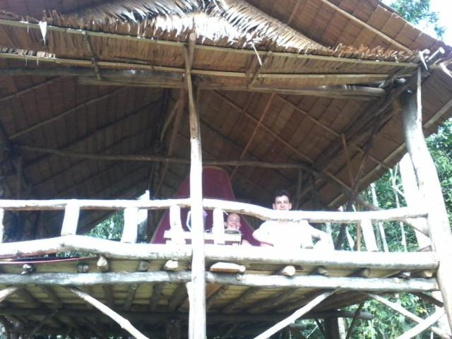 Orang Utan Treking Sumatra & Lovely Jungle Only Book If Are Treking With Us *