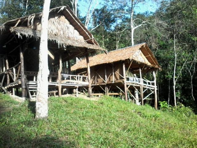 Orang Utan Treking Sumatra & Lovely Jungle Only Book If Are Treking With Us *
