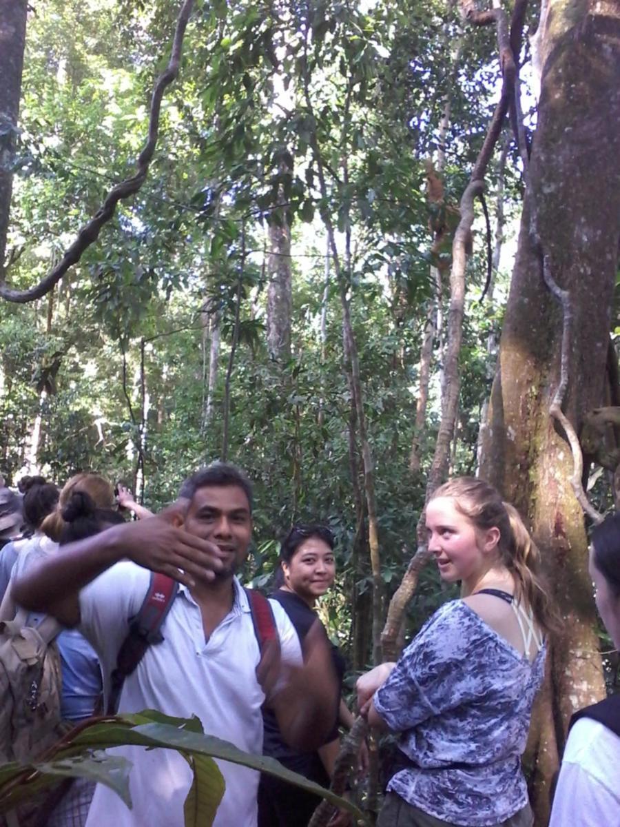 Orang Utan Treking Sumatra & Lovely Jungle Only Book If Are Treking With Us *