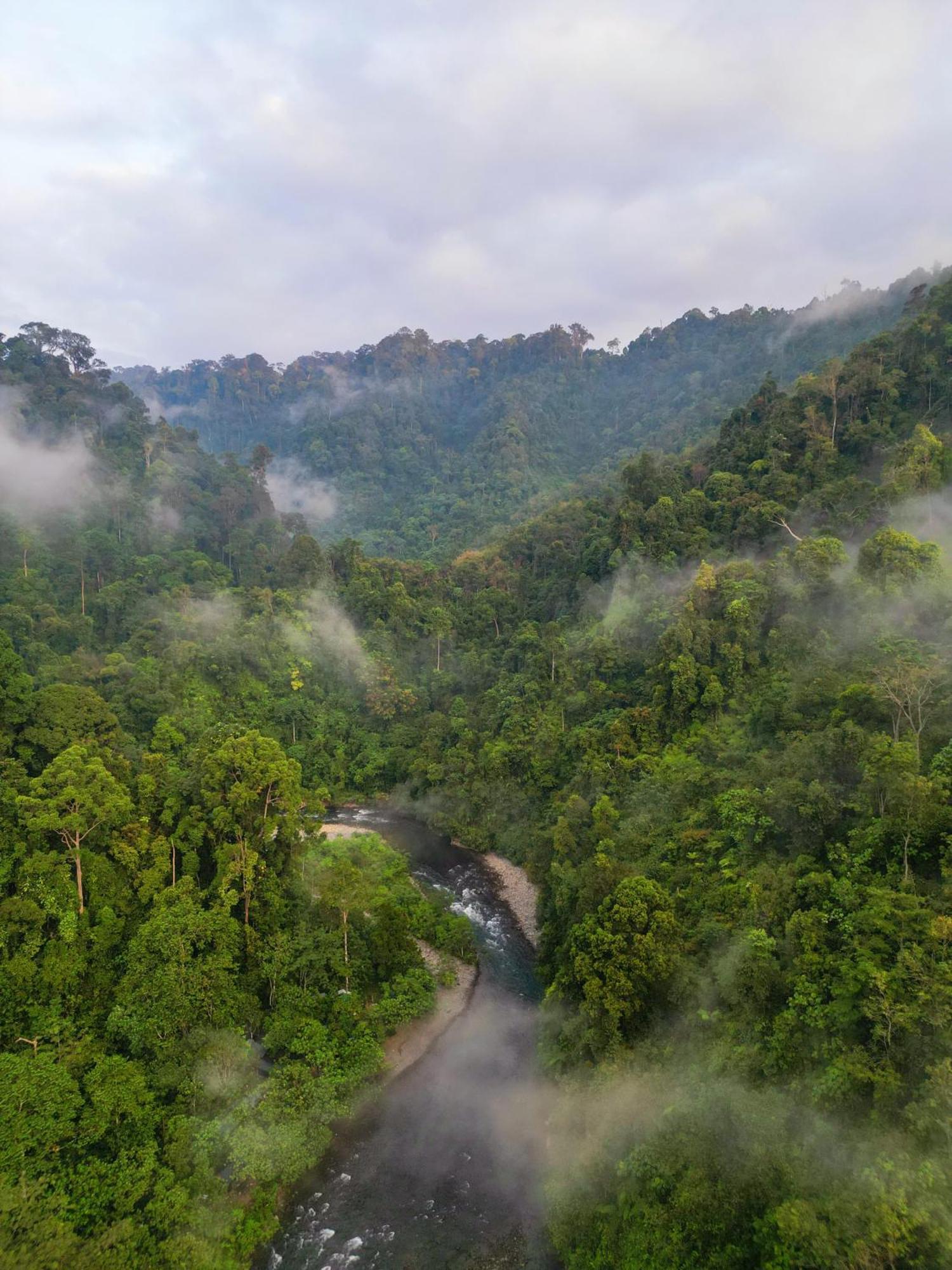 Lodge Orang Utan Treking Sumatra & Lovely Jungle Only Book If Are Treking With Us *