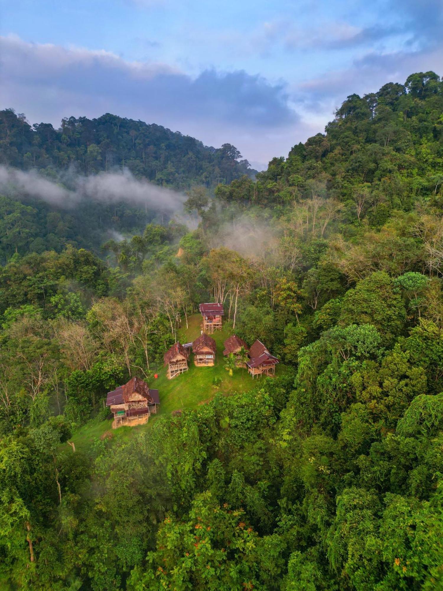 Lodge Orang Utan Treking Sumatra & Lovely Jungle Only Book If Are Treking With Us Bukit Lawang