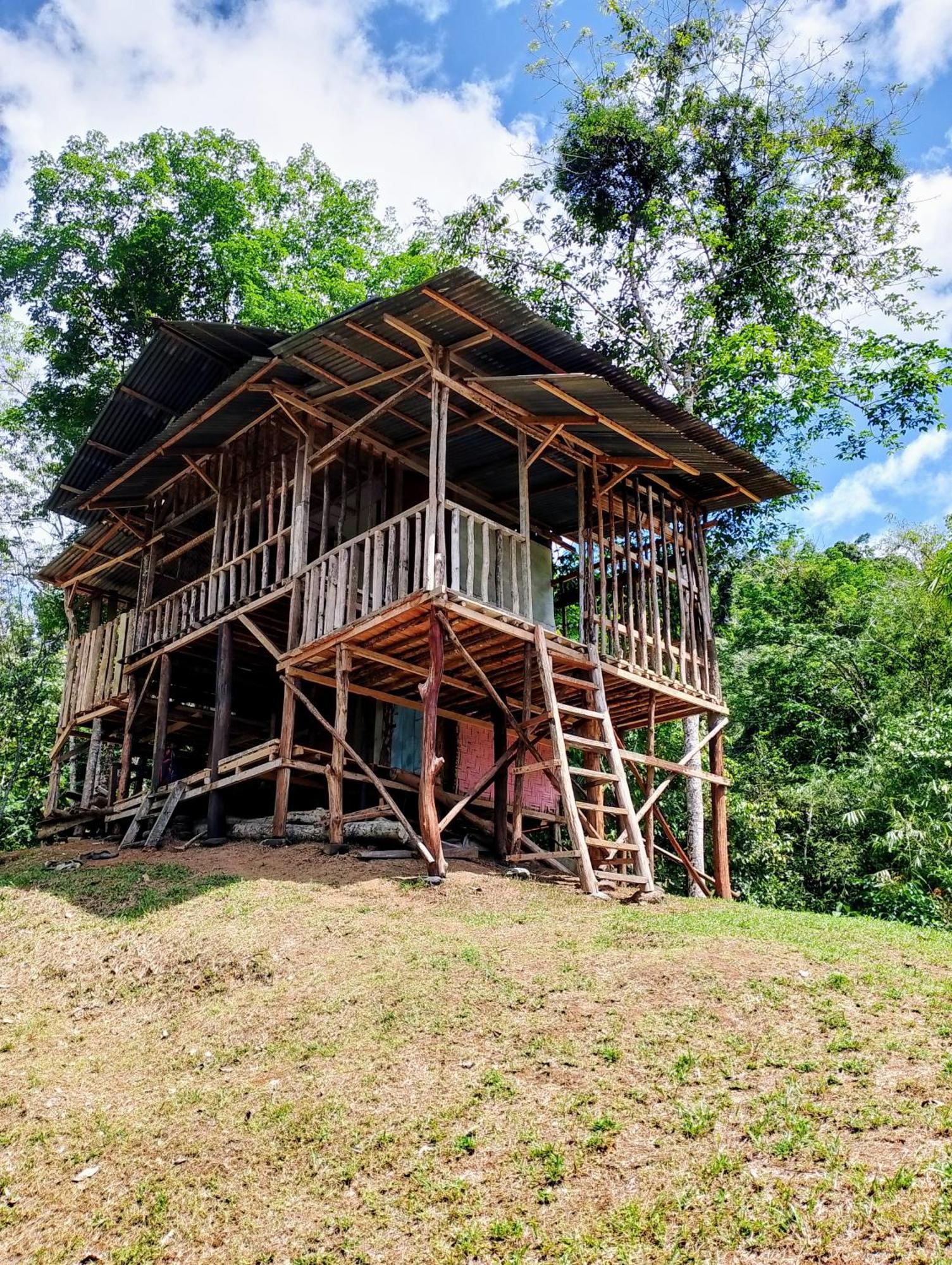 Orang Utan Treking Sumatra & Lovely Jungle Only Book If Are Treking With Us Lodge Bukit Lawang