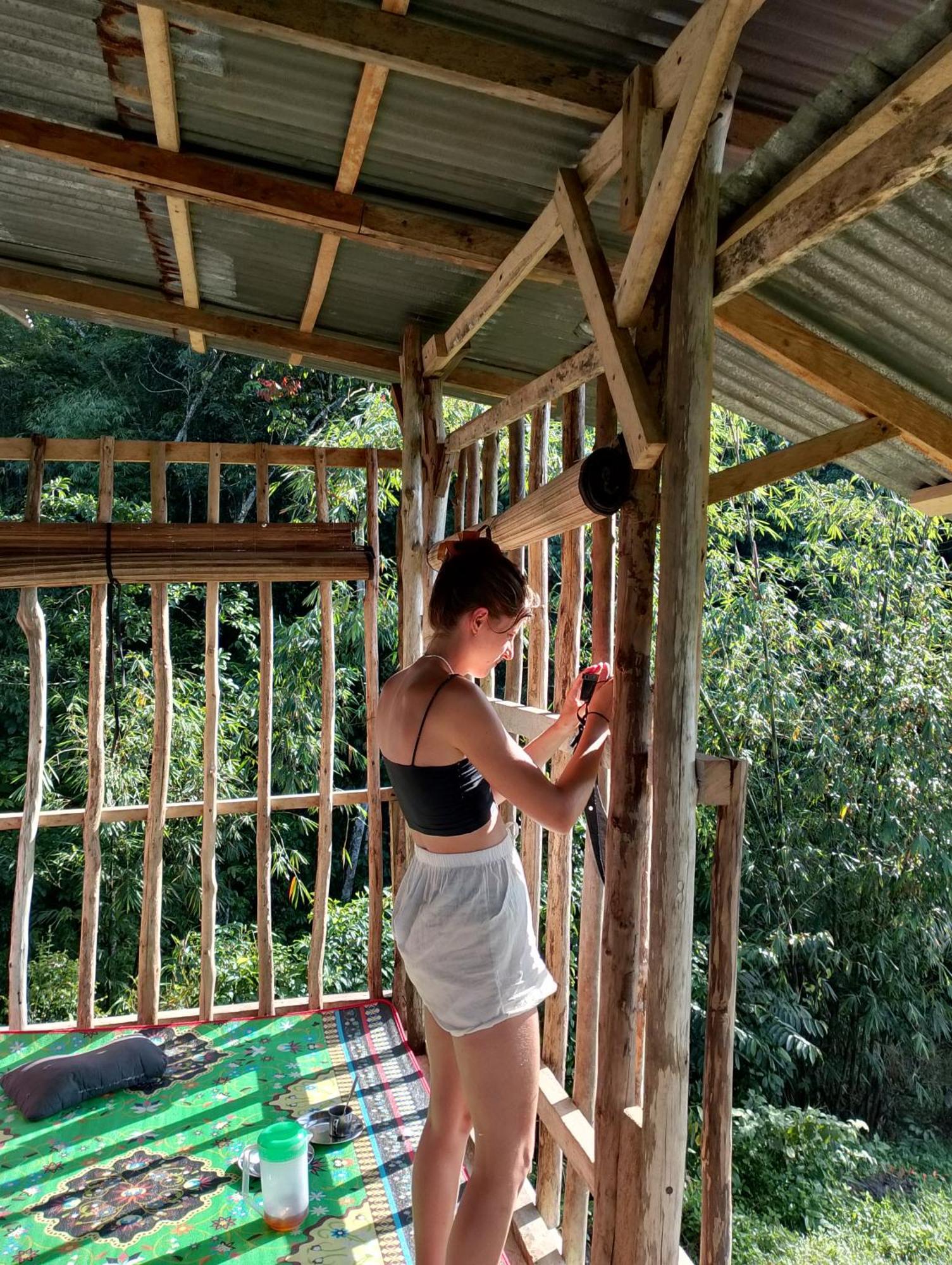 Orangutantreksumatra & Lovely Jungle Only Book If Are Treking With Us * Bukit Lawang